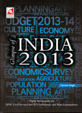 glimpse-of-indian-2013